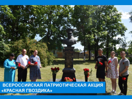 Патриотическая акция «Красная гвоздика»