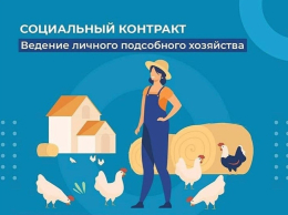 Социальный контракт для ведения личного подсобного хозяйства