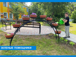 Зеленые помощники