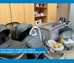 Пункт проката предметов первой необходимости для новорожденных детей