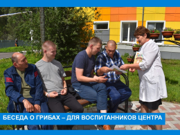 Беседа о грибах