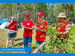 Спортивный лабиринт:.