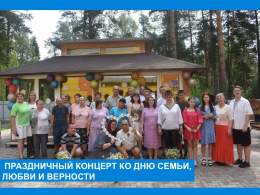 Ромашек белый хоровод