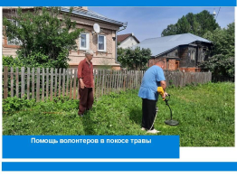 В покосе травы помогают волонтеры
