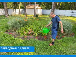 Природная палитра