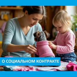 О социальном контракте