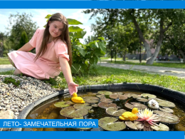 Лето - замечательная пора