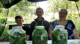 МАЛОСОЛЬНЫЕ ОГУРЦЫ
