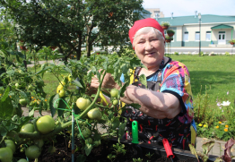 Во саду ли, в огороде…