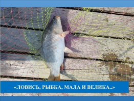 Отдых и рыбалка