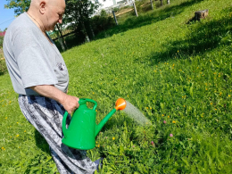 Зелёный страж дома милосердия