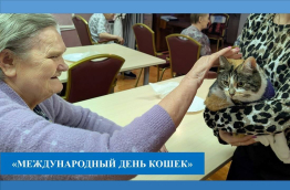 Без кота - жизнь не та!
