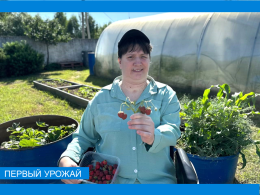 Первый урожай