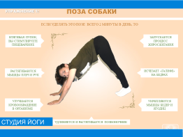 Студия йоги