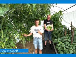 Наш урожай