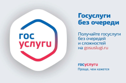 Госуслуги без очереди