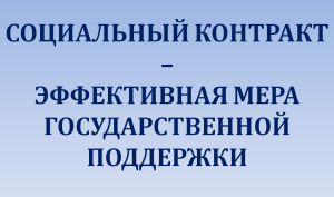 Участники СВО и многодетные семьи имеют приоритетное право на получение соцконтракта
