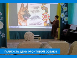 СВЯЗИСТЫ И  САНИТАРЫ, САПЕРЫ И РАЗВЕДЧИКИ: РАССКАЗ О ФРОНТОВЫХ СОБАКАХ  