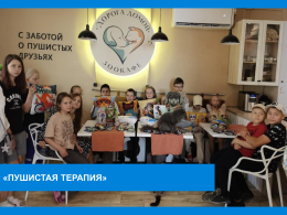 Пушистая терапия