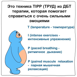 Техника TIPP 