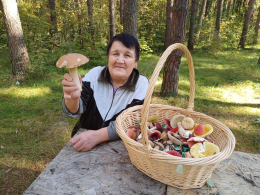 В лес за грибами.