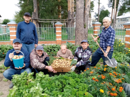 ПОЙДЁМ КОПАТЬ КАРТОШКУ...!