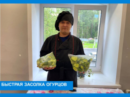 Засолка огурцов