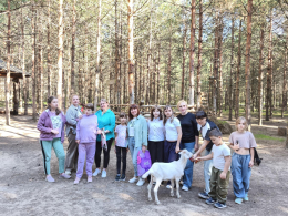 Встреча с благородными оленями 