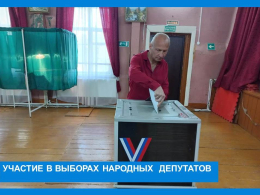 Участие в выборах