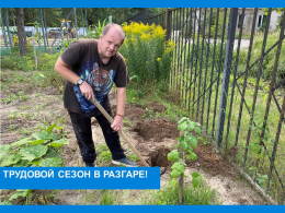Трудовой сезон в разгаре!
