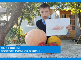 Проект "Дары осени" продолжается