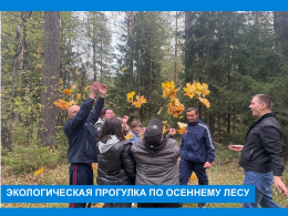 Осенняя лесная сказка