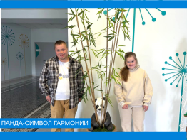 Панда и бамбук