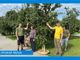 Урожай в Арбузовском доме