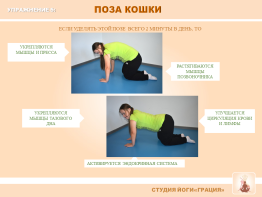В студии йоги