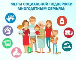 Меры социальной поддержки многодетных семей