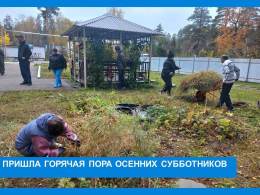 Забота о родном уголке