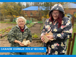 Лучок – чесночок
