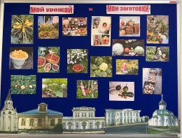 Фото-флешмоб «Мой урожай. Мои заготовки»