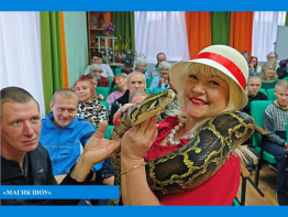 Волшебство и восторг в нашем доме! 