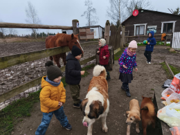 Осень в парке «Зазеркалье»