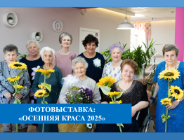 «Вау, какие красотки!»