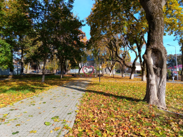 Осенний пейзаж...