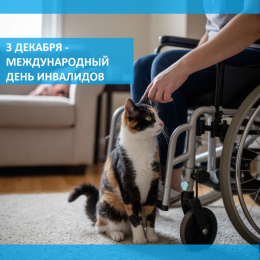3 декабря - международный День инвалидов!