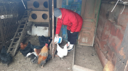 5 декабря - День волонтёра в России, или как его ещё называют, Международный день добровольца