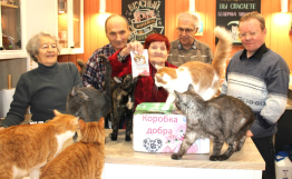 Корзинка добра для хвоста.