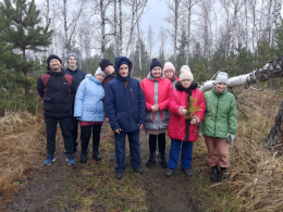 Прогулка по лесному массиву поселка