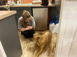 Миссия добра