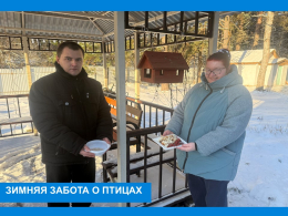 Зимняя забота о птицах