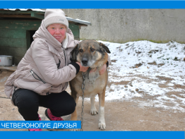 День лохматых питомцев